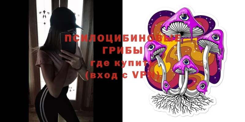 MEGA ссылка  где купить   Дрезна  Псилоцибиновые грибы Magic Shrooms 